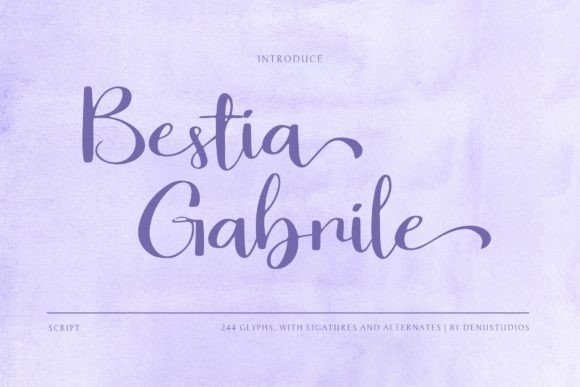 Bestia Gabrile: A Premium Script Font for Scroll-Stopping Brand Content
