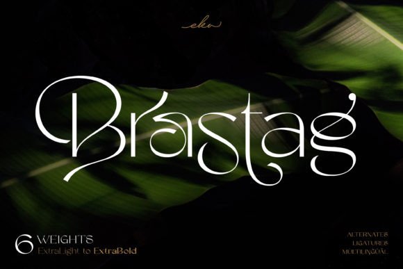 Brastag: A Versatile Script Amp Typeface for Editorial Design