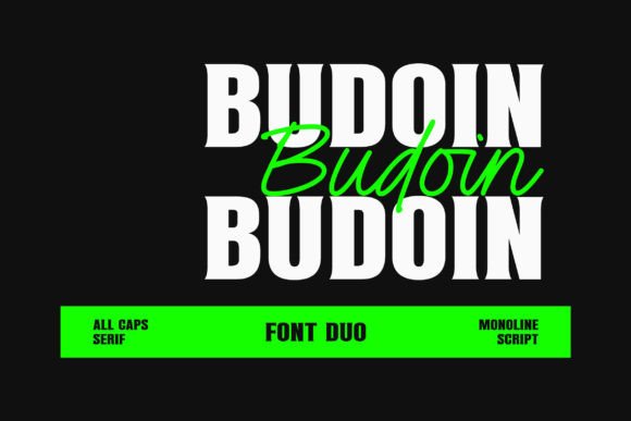Budoin Font Duo: Elegant Script Meets Bold Serif