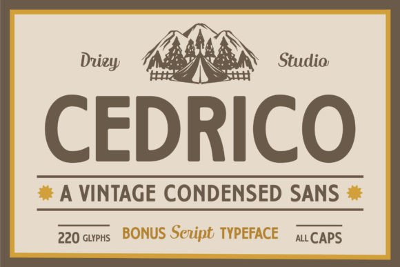 Cedrico: A Vintage Sans Serif Font That Pops on the Web