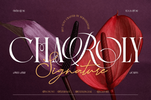 Charoly Signature: A Serif Font That Elevates Digital Branding