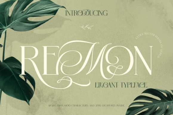 Remon: A Serif Font That Feels Like Hand-Selected Elegance