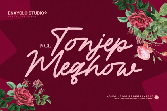 Tonjep Meqhow: A Script Amp That Earns Its Space